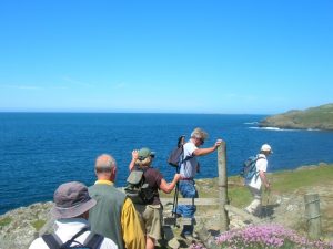 Group walk