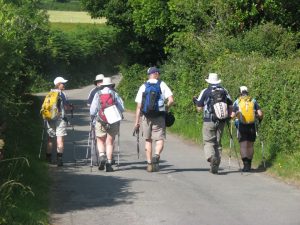Group walk